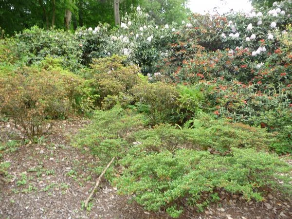 Parc — Nantes (France)