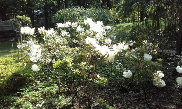 Fleurs Fleurs — Nantes (France)