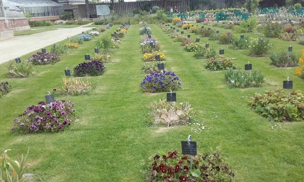 Fleurs Fleurs — Nantes (France)