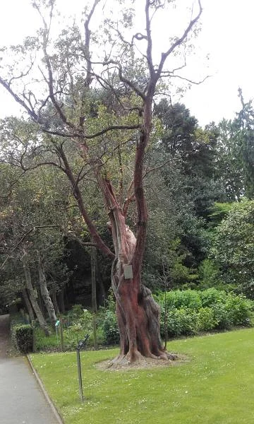 Parc — Nantes (France)