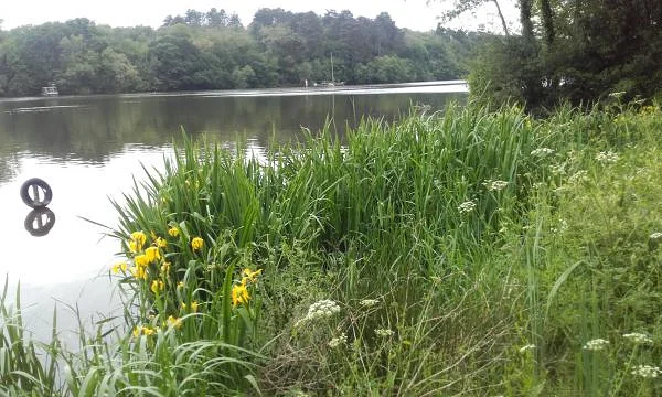 Lac — Nantes (France)