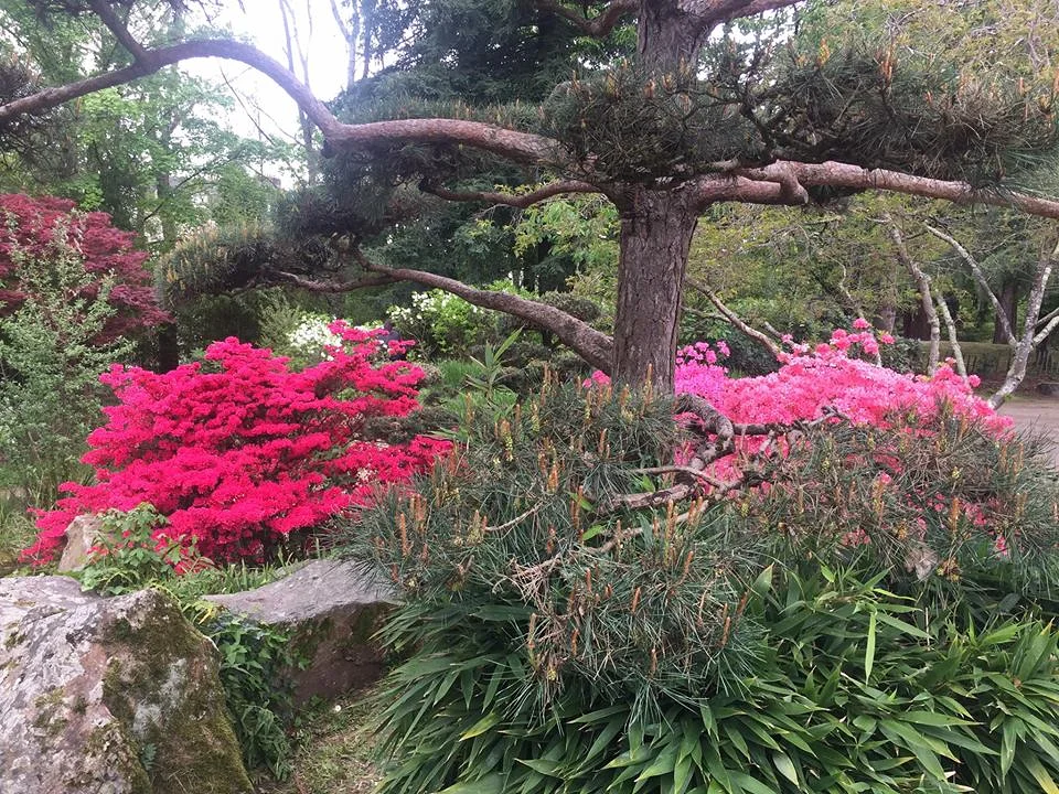 jardin japonais (France)