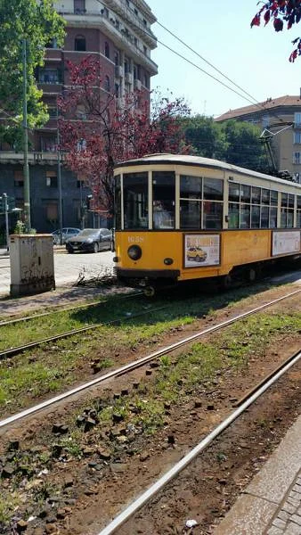 tramway en bois