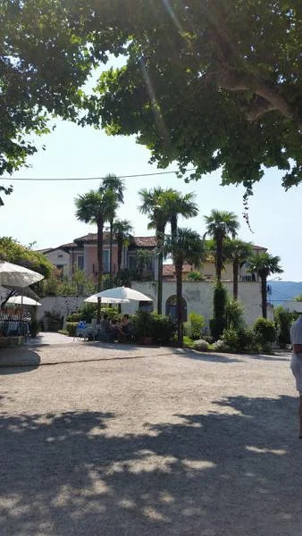 palmiers — Stresa (Italie)
