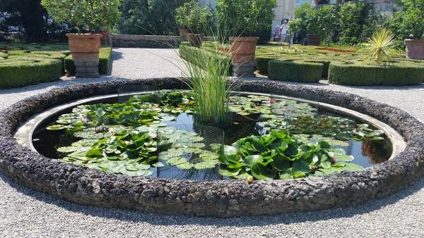 Petit bassin — Jardin botanique de l'Isola Bella (Italie)