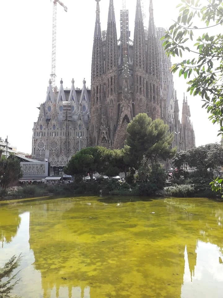 le parc derrière la sagrada — Sagrada Família (Espagne)