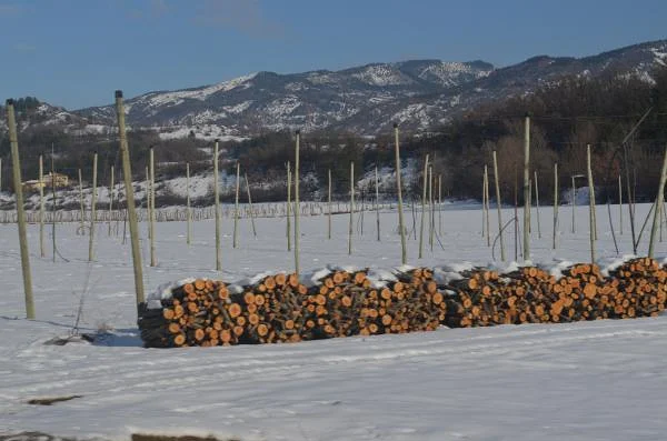 Champ sous la neige Champ sous la neige (France)