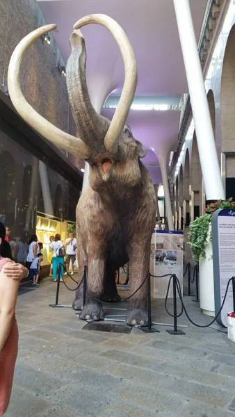 en cente ville — Milan (Italie)