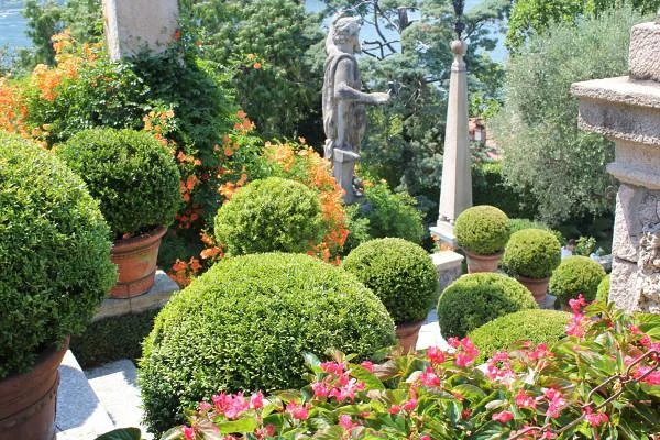 Des escaliers Des escaliers — Jardin botanique de l'Isola Bella (Italie)
