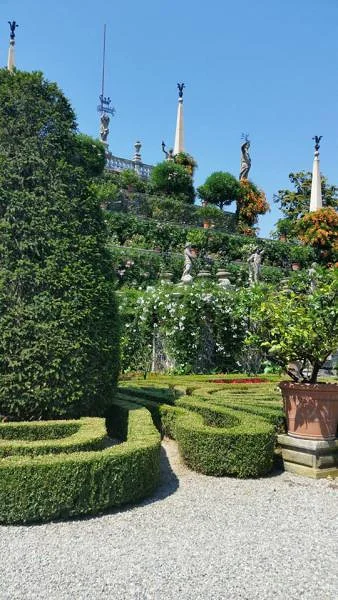 Des bosquets parfaitement alignés Des bosquets parfaitement alignés — Jardin botanique de l'Isola Bella (Italie)