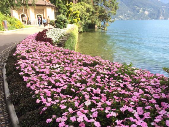Parc Civico
