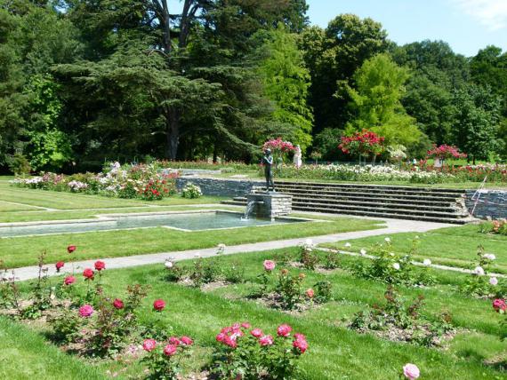 Jardin
