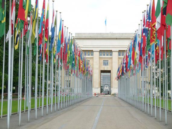 Place des nations unies