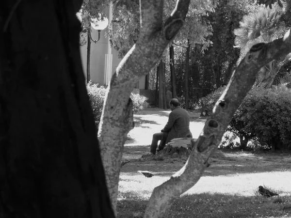 Parc toulonais — Port de Toulon (France)