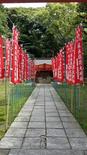 Allée — Fukuoka (Japon)