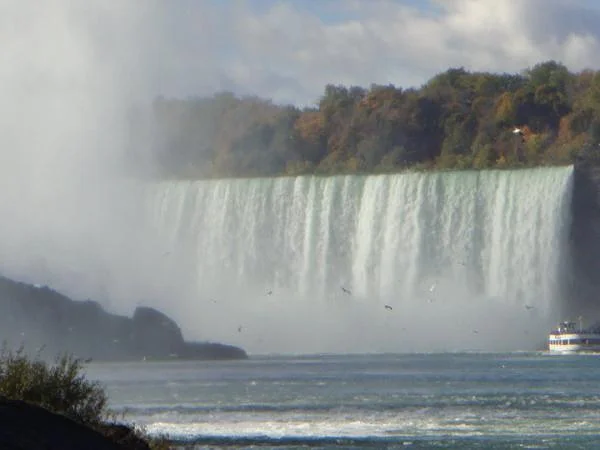 chutes du niagara de jour — Niagara Falls State Park (Etats-Unis)