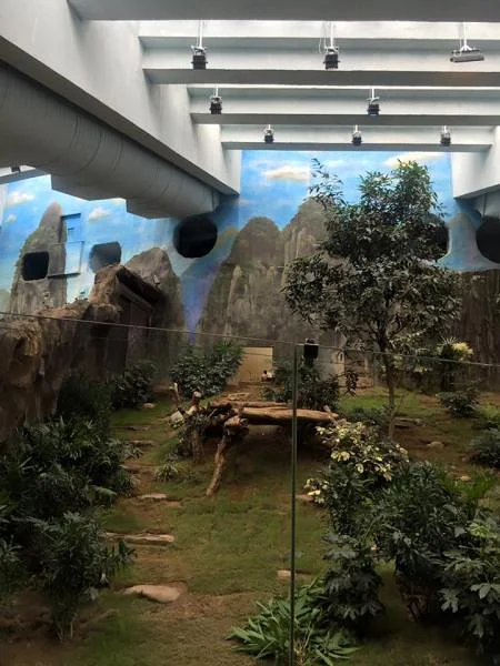 Parc animalier