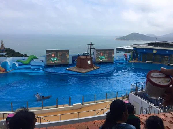 ocean park