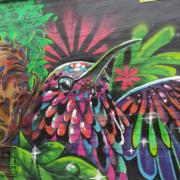 Bogota - 2016