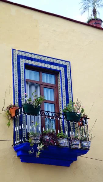 Fenêtre — Puebla (Mexique)
