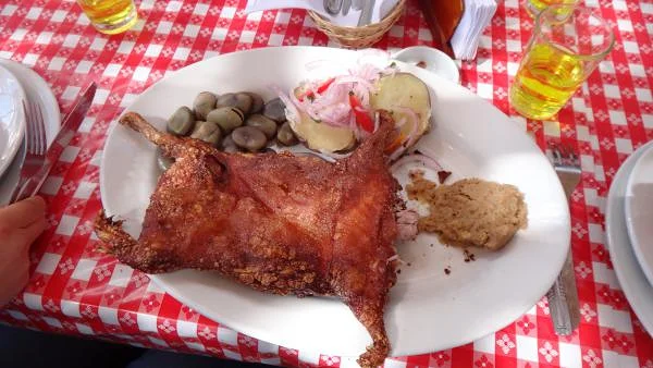 Cochon d'Inde — Arequipa (Pérou)