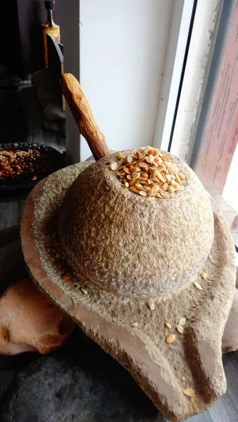Argan Argan — Agadir (Maroc)