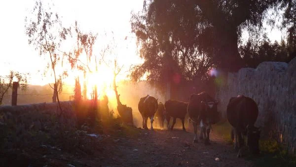 Soleil — Arequipa (Pérou)