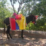 A la découverte de la côte caribéenne colombienne... 