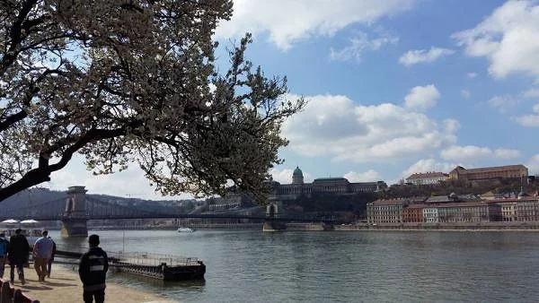 Danube — Budapest (Hongrie)