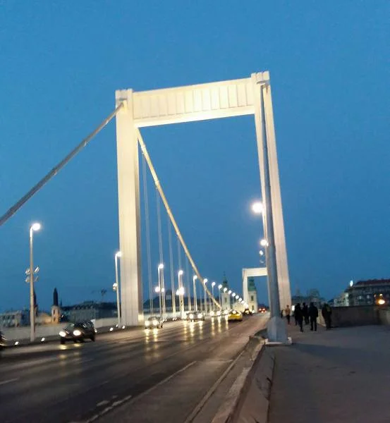 Pont Elisabeth Pont Elisabeth — Pont Élisabeth (Hongrie)